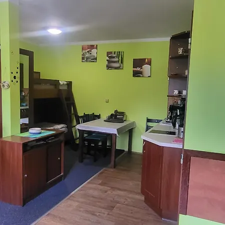 Apartman Orbit Karlov Pod Pradedem *